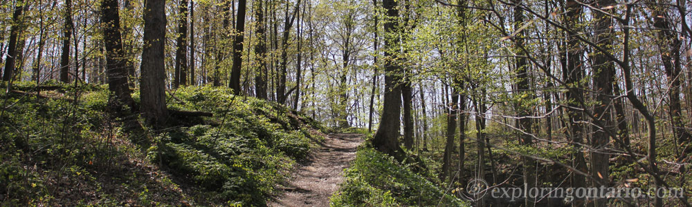 shorthills provincial park