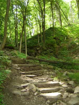 steps down niagara glen