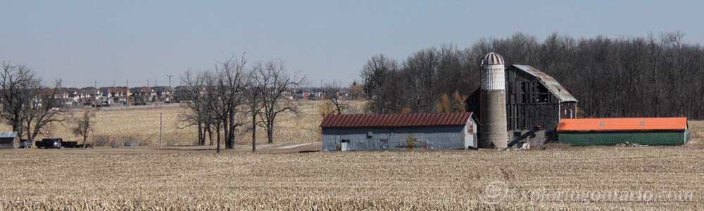 old farm in spring