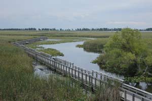 point pelee