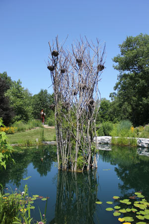 royal botanical gardens